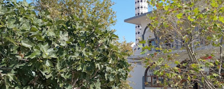 Hacı Halil Özöğretmen Cami