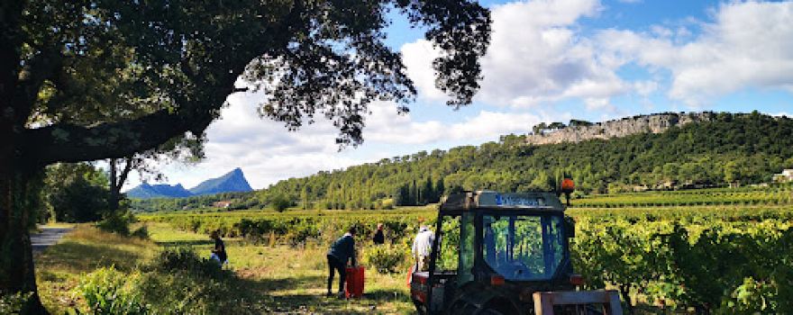 Domaine de la Vieille