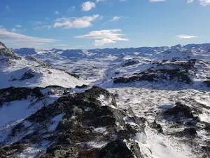 Hovden Landscape Area