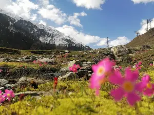 Braju Banda