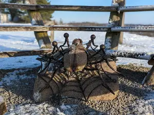 Žagarės Ozas Pažintinis Takas