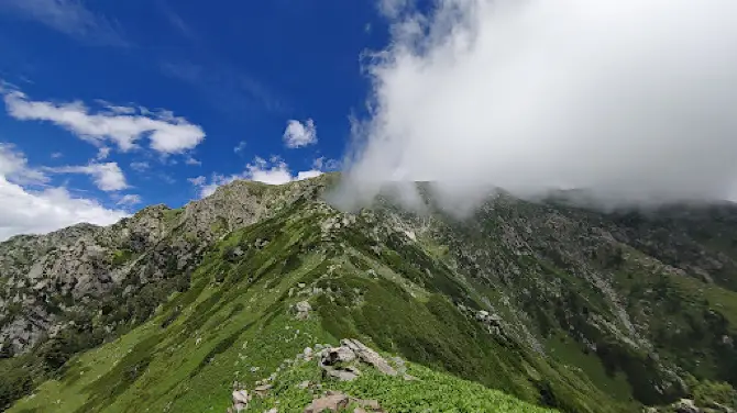 더 카지네그 내셔널 파크 - 잠무 카슈미르, 인디아