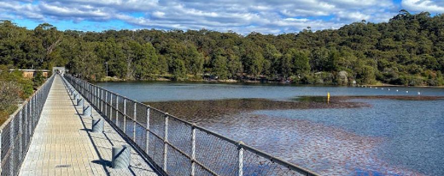 Manly Lagoon