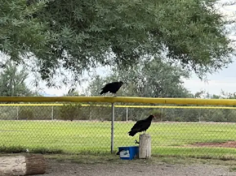 ラパス・パークス・デパートメント