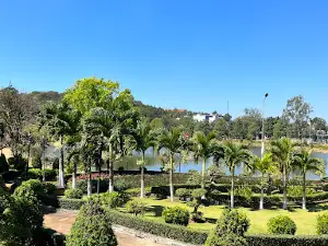 Swan Lake