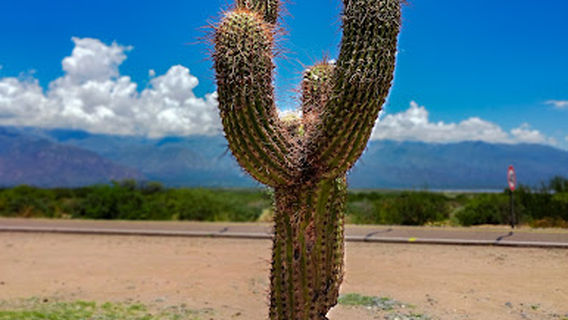 Salta