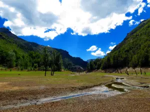 Ñuble National Reserve