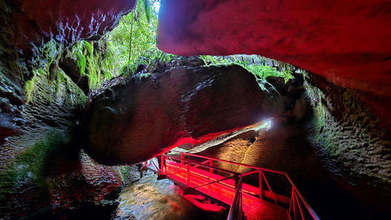Glow Worm Caves