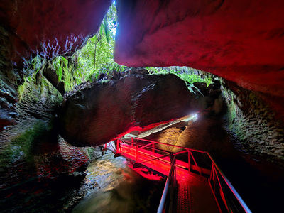 Glow Worm Caves