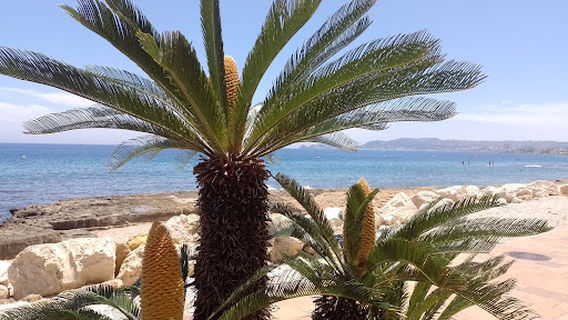 Platja de la Grava