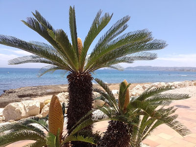 Platja de la Grava