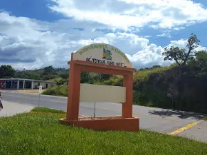 Parque