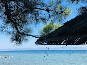 Arriba Beach