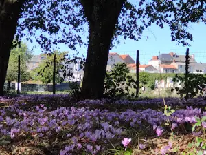 Le Parc de Beaupréau