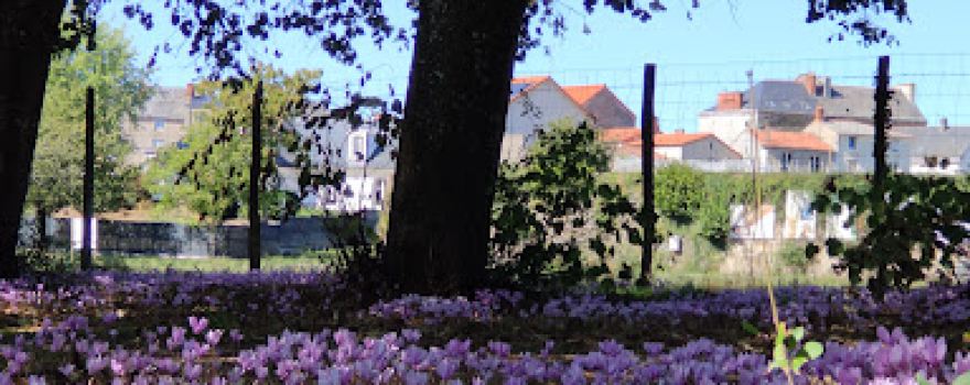 Le Parc de Beaupréau