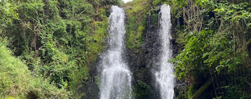 Marangu Falls Kinukamori