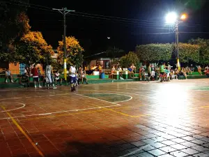 Cancha Jardín
