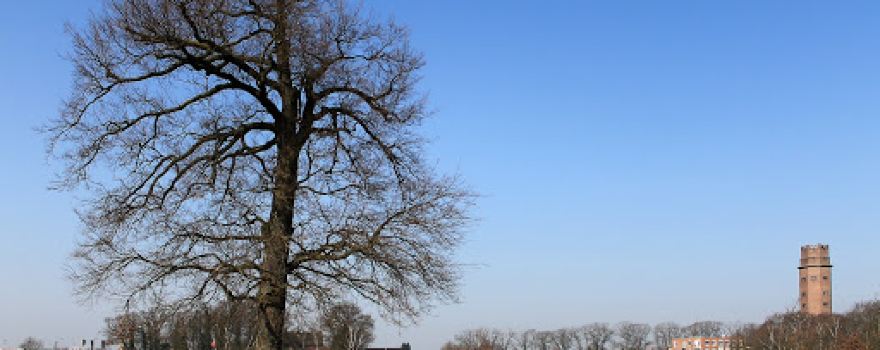 Salzgrotte am Wasserturm