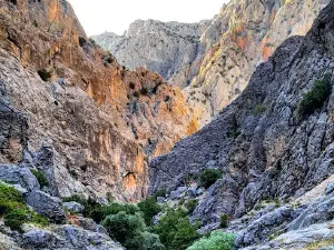 Kozluk Stream