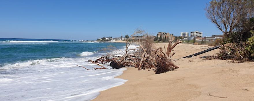 Picnic Point Reserve
