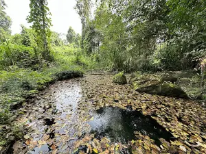 Aom Ruedi Forest Park