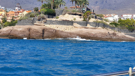 Freebιrd 0ne | Avιstamιento de Ballenas en Tenerιfe | Wнale watcнing Tenerife | Free Icecream