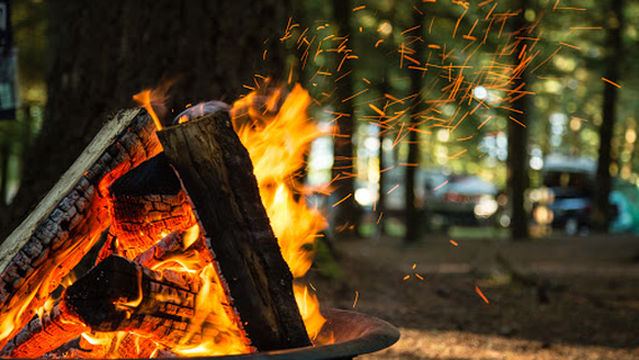 Thousand Trails Paradise