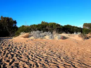 Oriented Nature Reserve Foce Belice
