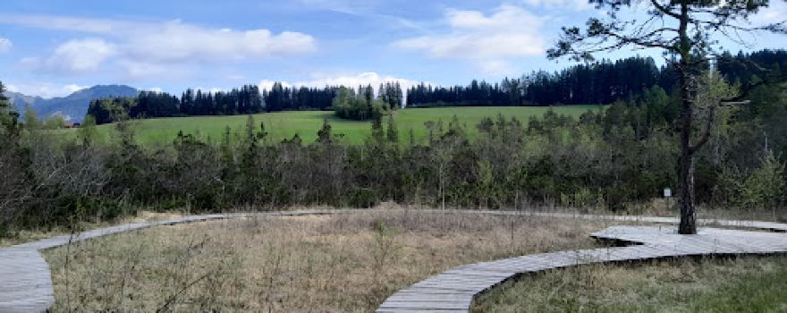 Dürnberger Moor
