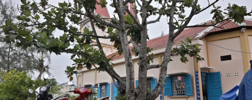 Thánh thất Tân Ân