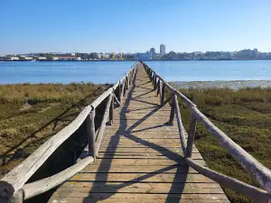 Marismas del Odiel
