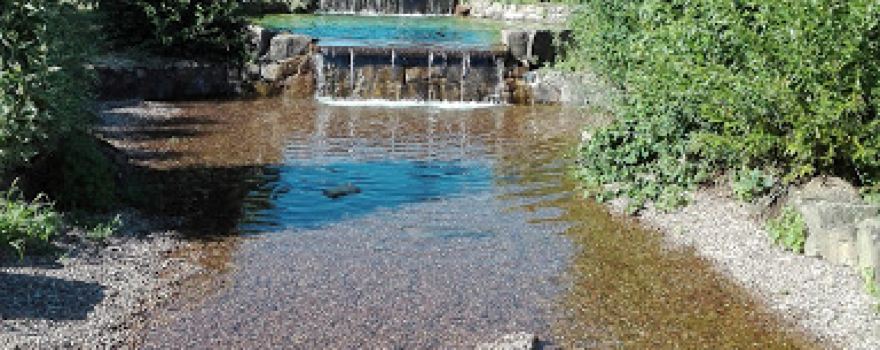 Naturbad Pennigsehl
