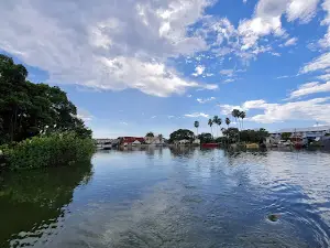 Black River Safari Tours