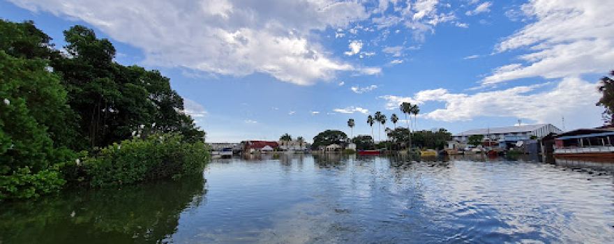 Black River Safari Tours