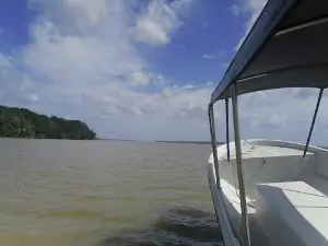 Forestal Canglón Reserve