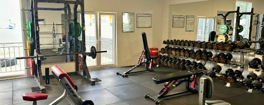 Elm's Gym