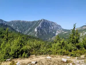 Qafshtama