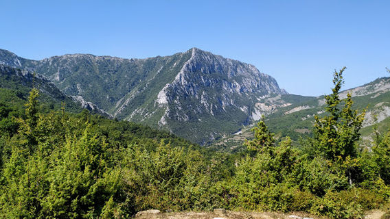 Qafshtama