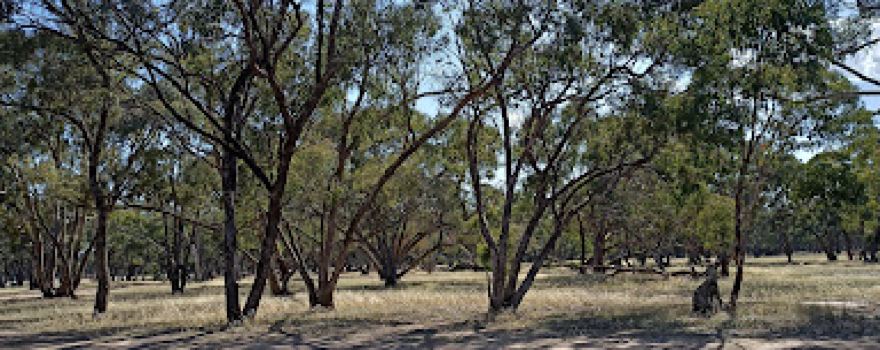 Kiata Campground