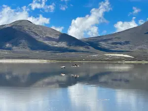 Dunas de Tajzara
