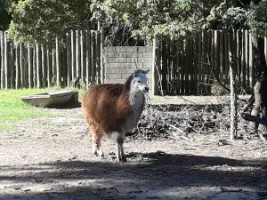 Granja la Esmeralda