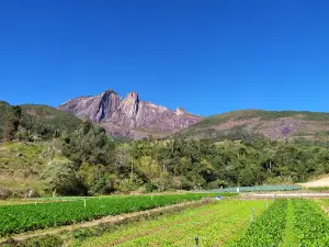 Torres de Bonsucesso