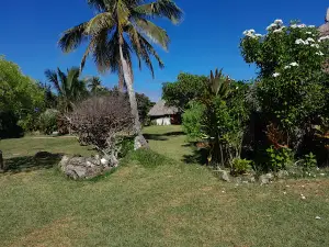 Vanilleraie d'Ouvéa ou UA HUKA vanilleraie