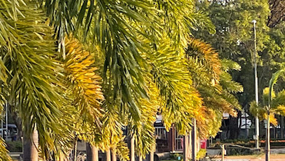 Ming Muang Chalerm Prakiat Park