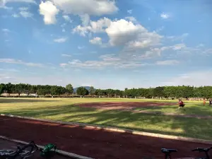 unidad deportiva