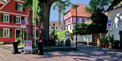 Palaontologisches Museum Nierstein