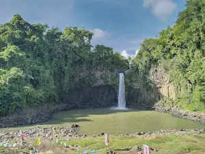 Cathedral Falls