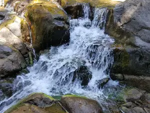 Goldern of WATERFALL