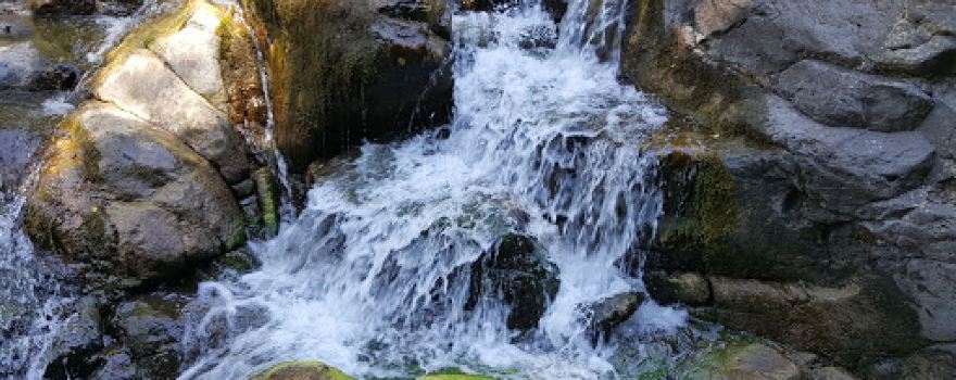 Goldern of WATERFALL