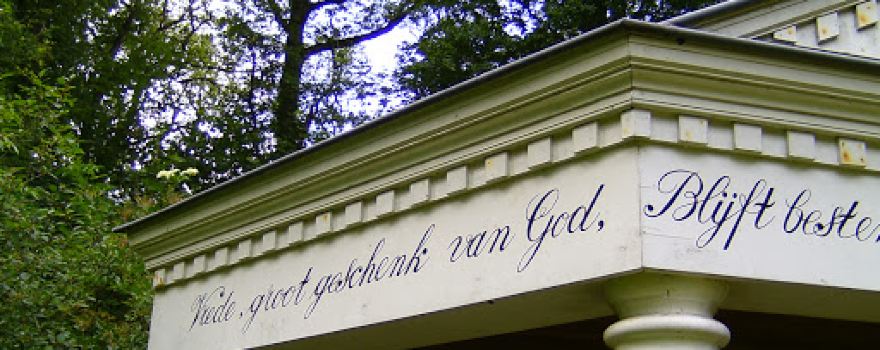 Rijsterbosch